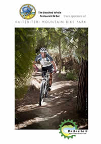 Kaiteriteri Mountain Bike Park - Photo by Oliver Weber